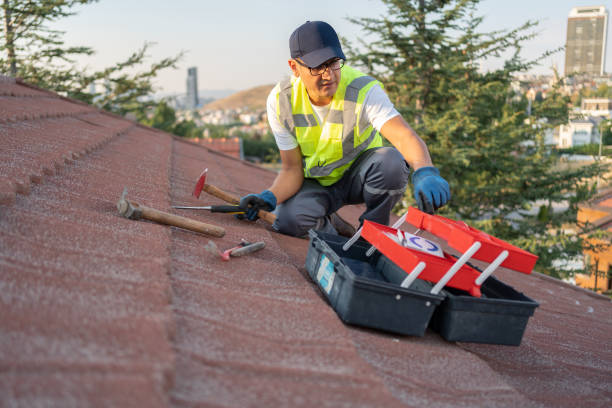 Best Historical Building Siding Restoration  in Franklin, KY